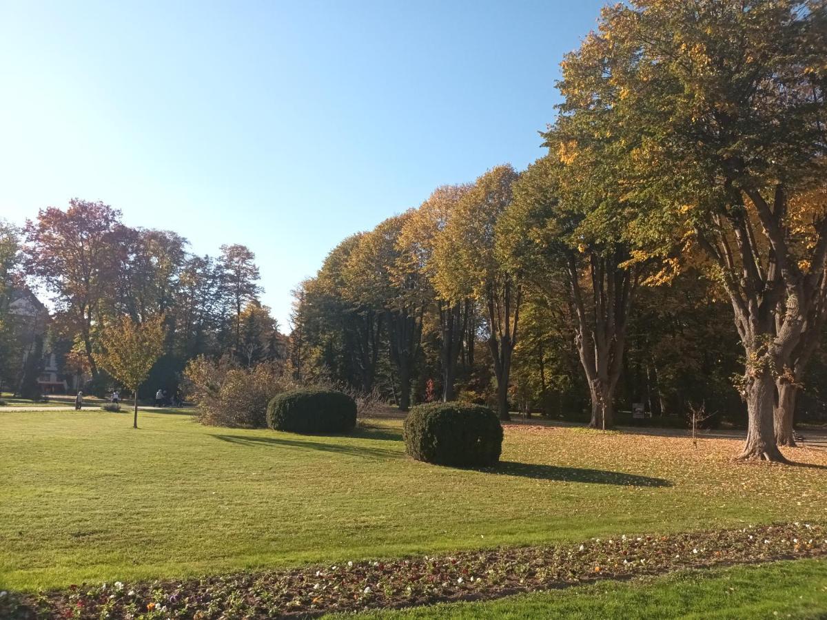 Apartman Lavanda Banja Koviljača Exterior foto